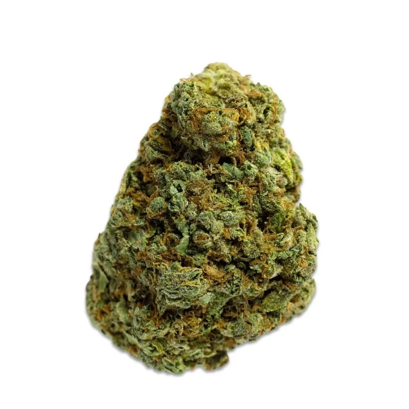 Critical M+ | Fleurs de CBD